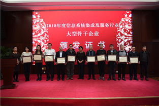 南瑞集團(tuán)榮獲信息系統(tǒng)集成及服務(wù)行業(yè)大型骨干企業(yè)稱號